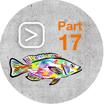Feed_Efficiency_mit_Play_Button_Part17_Tilapia.png